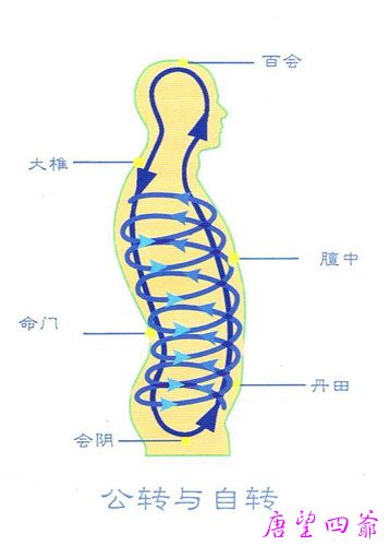 人体空间医学理论精要