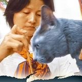 《苹果》派猫狗卧底 踢爆 宠物通灵师敛财