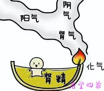 自我检测：人体肾气不足的八种表现