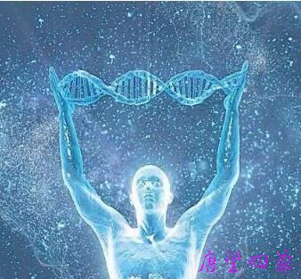 什么是「灵魂DNA」?