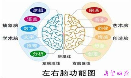 保持全脑型的学习-楚茜茜谈永生灵魂的经营