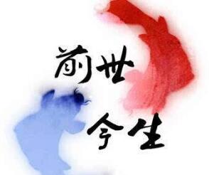 净空法师谈前世因果