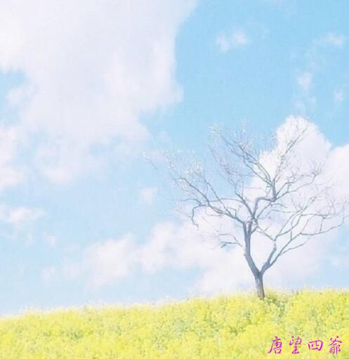 操控术