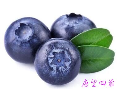 藍莓有益健康的九大功效