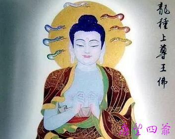 南无龙种上尊王佛