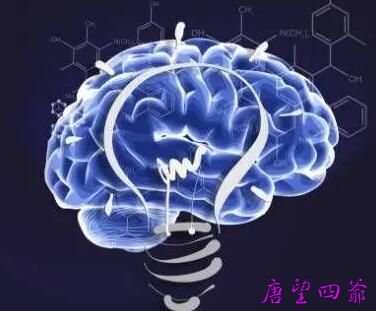 智慧判断力是与生俱来