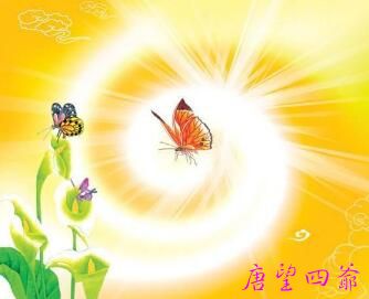 新年一起发四大愿