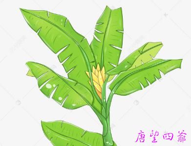 赏一轮空色