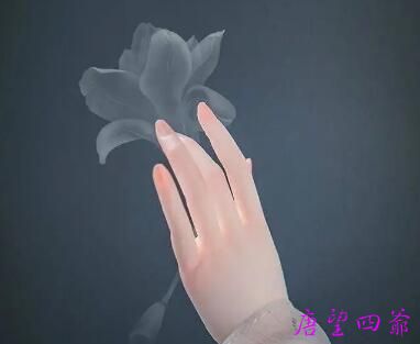 一手好牌打成烂牌竟是杀生造成