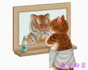 不念过往不畏将来