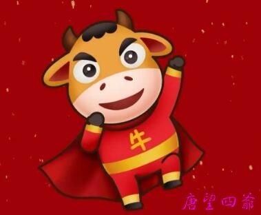 会飞天遁地的学生