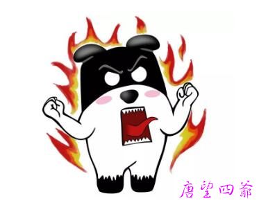 佛与其信不如修