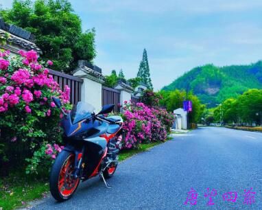 其实我蛮想住镜淇家隔壁