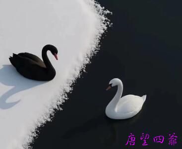 同理心
