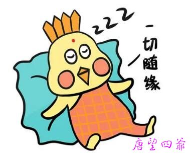 因果的解读