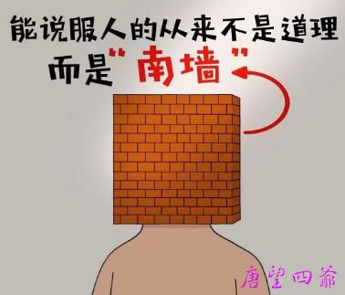 撞了100次南墙才明白的道理