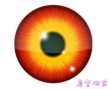 未来之神