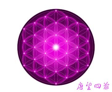 模仿千万别只在毛皮上