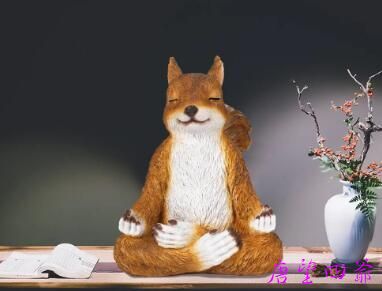看不到动物灵的半调子