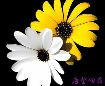 谈“累世灵魂经历”