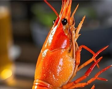 龙虾堡的龙虾我错了