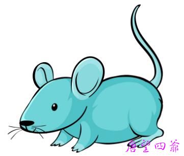 念力就是最伟大的法术
