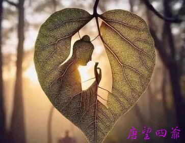 温柔以待一缕阳光