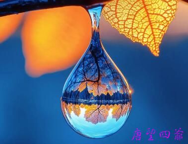 穿透合理化的自己